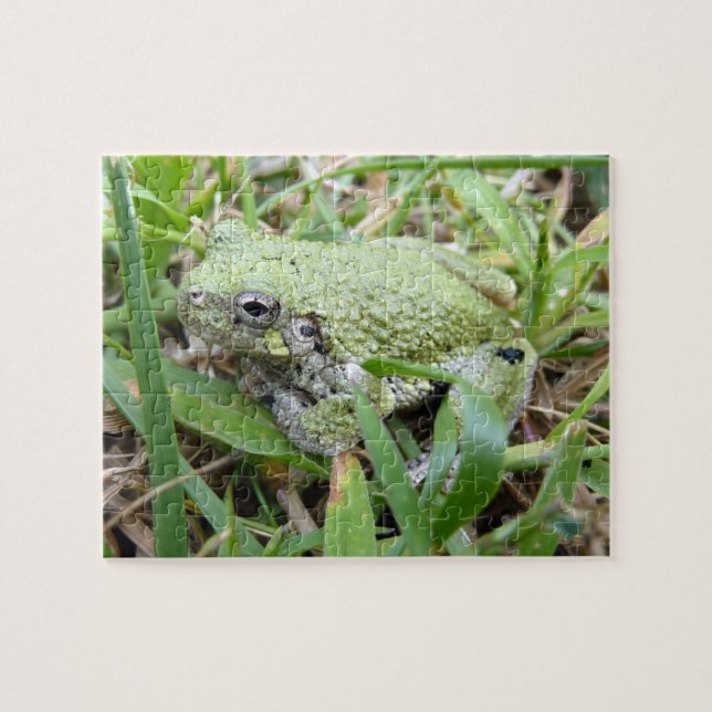 Östra Grått Treefrog Nature Photography Pussel (Horisontell)