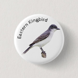 Östra Kingbird Knapp