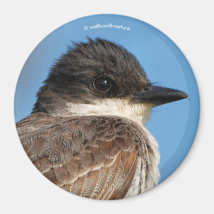 Östra Kingbird på Gren Magnet