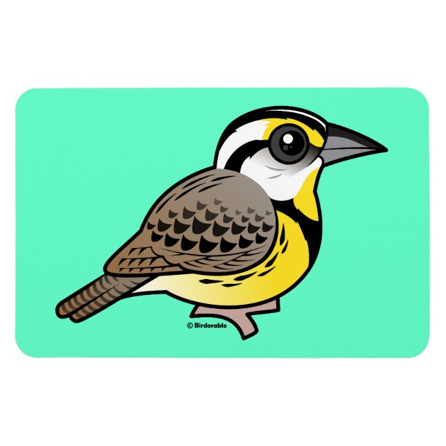 Östra Meadowlark Magnet (Horisontell)