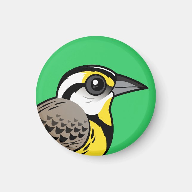 Östra Meadowlark Magnet (Framsidan)