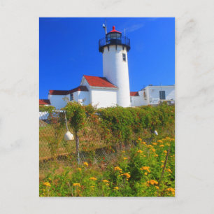 Östra Point Lighthouse-blommor Gloucester Vykort