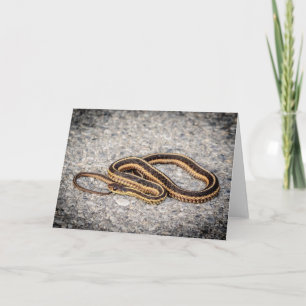 Östra Ringorm (Garter Snake) Helgkort
