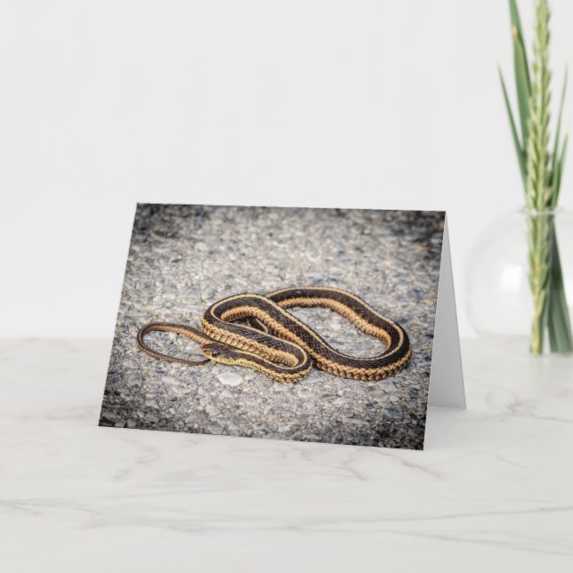 Östra Ringorm (Garter Snake) Helgkort (Framsida)