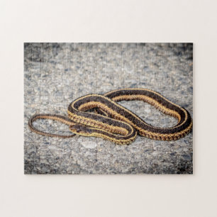 Östra Ringorm (Garter Snake) Pussel