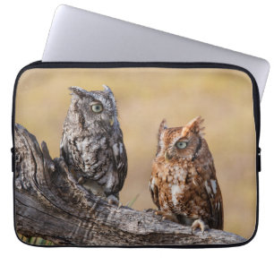 Östra Screech Ow Roosting i Träd Laptop Fodral