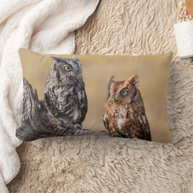 Östra Screech Ow Roosting i Träd Lumbarkudde (Filt)