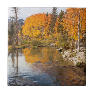 Östra Sierra, Bishop Creek, Kalifornien utlopp Kakelplatta