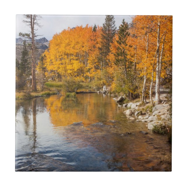 Östra Sierra, Bishop Creek, Kalifornien utlopp Kakelplatta (Framsidan)