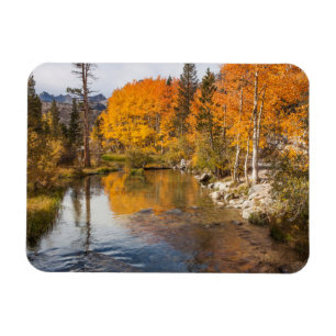 Östra Sierra, Bishop Creek, Kalifornien utlopp Magnet