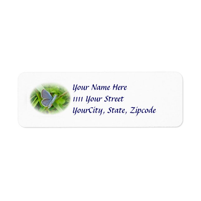 Östra Tails Blue Butterfly Address Label Returadress Etikett (Framsidan)