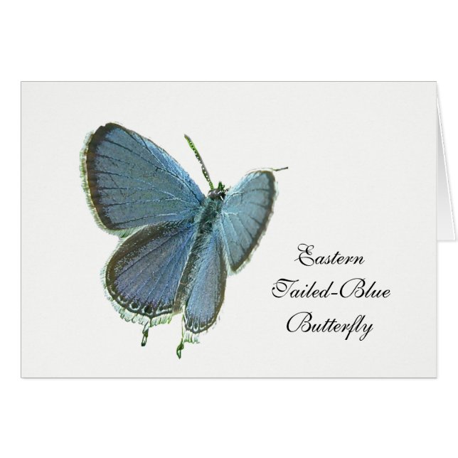 Östra-Tails Blue Butterfly Hälsningskort (Framsidan Horizontal)