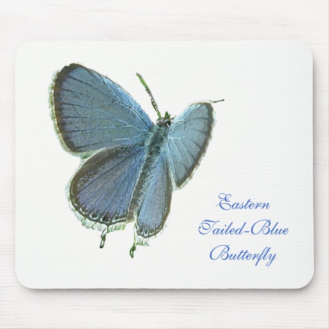 Östra-Tails Blue Butterfly Musmatta (Framsidan)