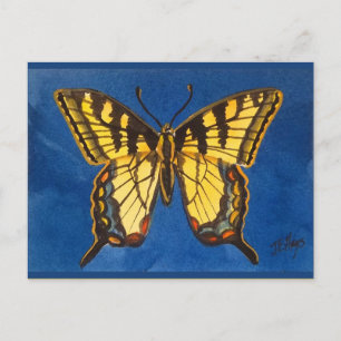 Östra Tiger Butterfly-vykort Vykort