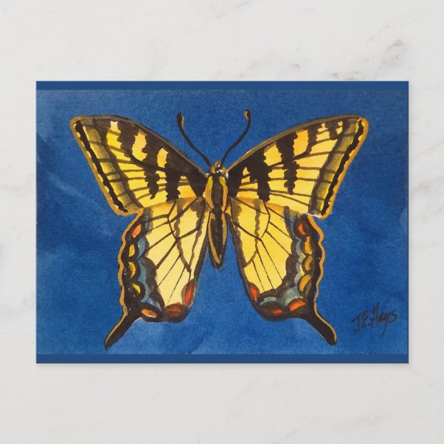 Östra Tiger Butterfly-vykort Vykort (Framsida)