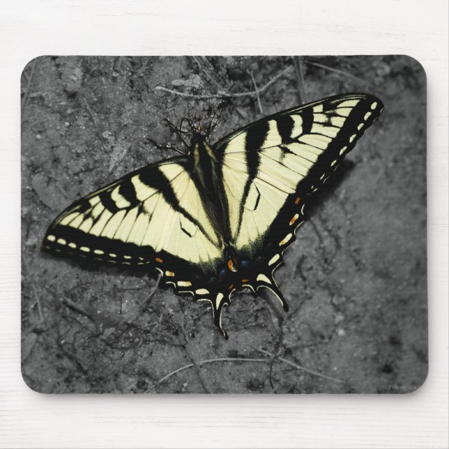 Östra Tiger Mousepad Musmatta (Framsidan)