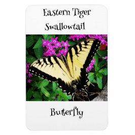 Östra Tiger Swallowtail Butterfly #1 Magnet