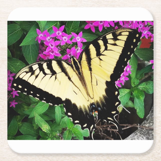 Östra Tiger Swallowtail Butterfly #1 Underlägg Papper Kvadrat (Framsidan)