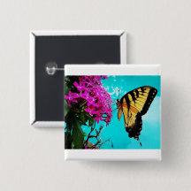 Östra Tiger Swallowtail Butterfly #2