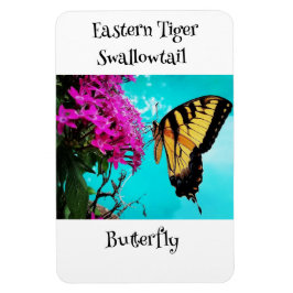 Östra Tiger Swallowtail Butterfly #2 Magnet