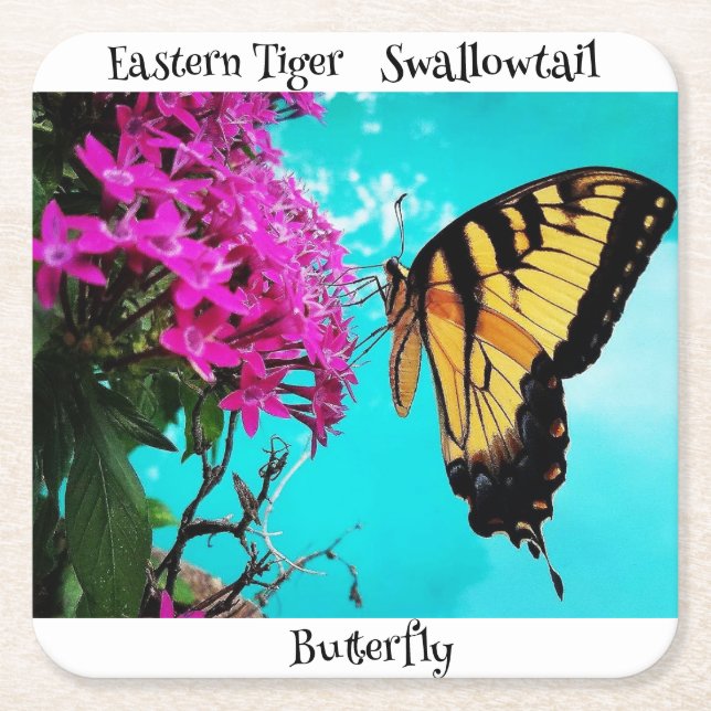 Östra Tiger Swallowtail Butterfly #2 Underlägg Papper Kvadrat (Framsidan)