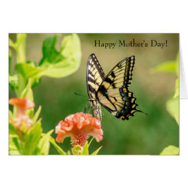 Östra Tiger Swallowtail Butterfly Hälsningskort