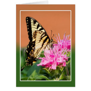 Östra Tiger Swallowtail Butterfly Hälsningskort