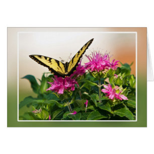 Östra Tiger Swallowtail Butterfly Hälsningskort