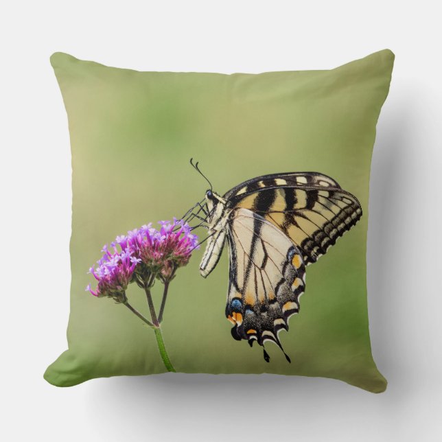 Östra Tiger Swallowtail Butterfly Kudde (Framsida)