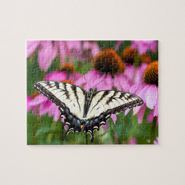 Östra Tiger Swallowtail Butterfly on Coneflowers Pussel (Horisontell)