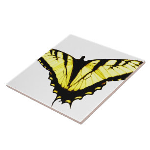 Östra Tiger Swallowtail Butterfly Photo Kakelplatta