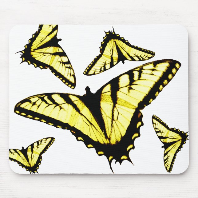 Östra Tiger Swallowtail Butterfly Photo Musmatta (Framsidan)