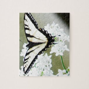 Östra Tiger Swallowtail Butterfly Photo Pussel