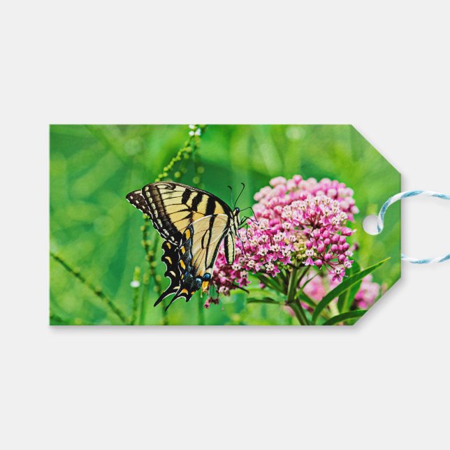 Östra Tiger Swallowtail Butterfly Presentetikett (Framsidan (Horisontell))