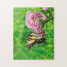 Östra Tiger Swallowtail Butterfly