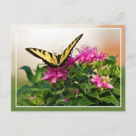Östra Tiger Swallowtail Butterfly Vykort