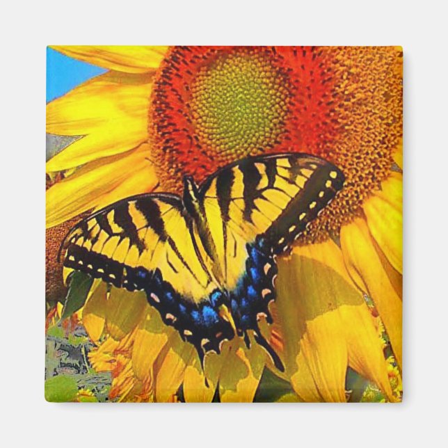 Östra Tiger Swallowtail , magnet (Framsidan)