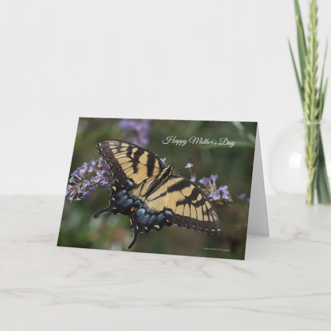 Östra Tiger Swallowtail Mors dag Card Kort (Framsida)