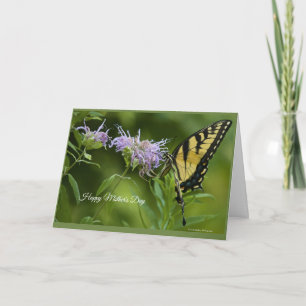 Östra Tiger Swallowtail Mors dag Card Kort