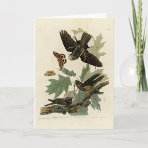 Östra Whip-Poor's Audubon's Birds of America Kort