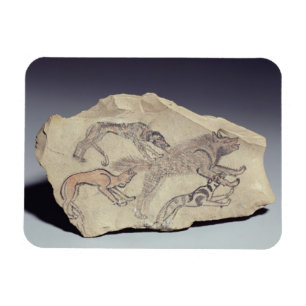 Ostracon som visar en hund som jagar en hyena magnet