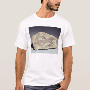 Ostracon som visar en hund som jagar en hyena t-shirt