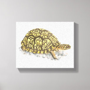Östran boxas sköldpaddakanvastrycket canvastryck