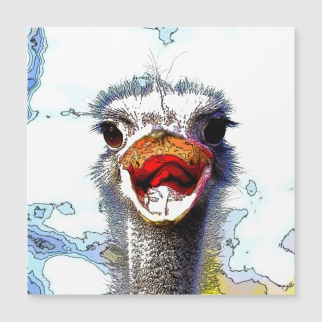 Ostrich20150701 (Framsida)
