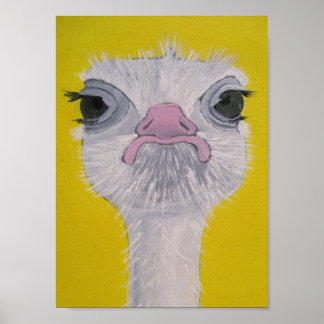 Ostrich Ansikte Poster