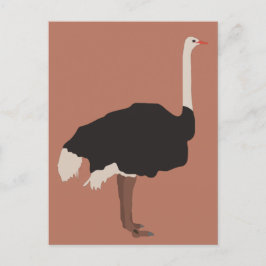 Ostrich Bird Illustration Helg Vykort