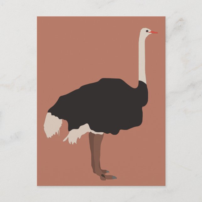 Ostrich Bird Illustration Helg Vykort (Framsida)