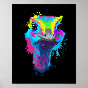 Ostrich Colorful Bird Älskare Ostriches Poster