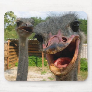 Ostrich Couple Mousepad Musmatta