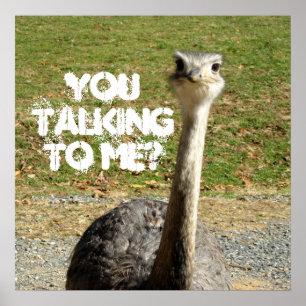 Ostrich dig som talar till mig? poster